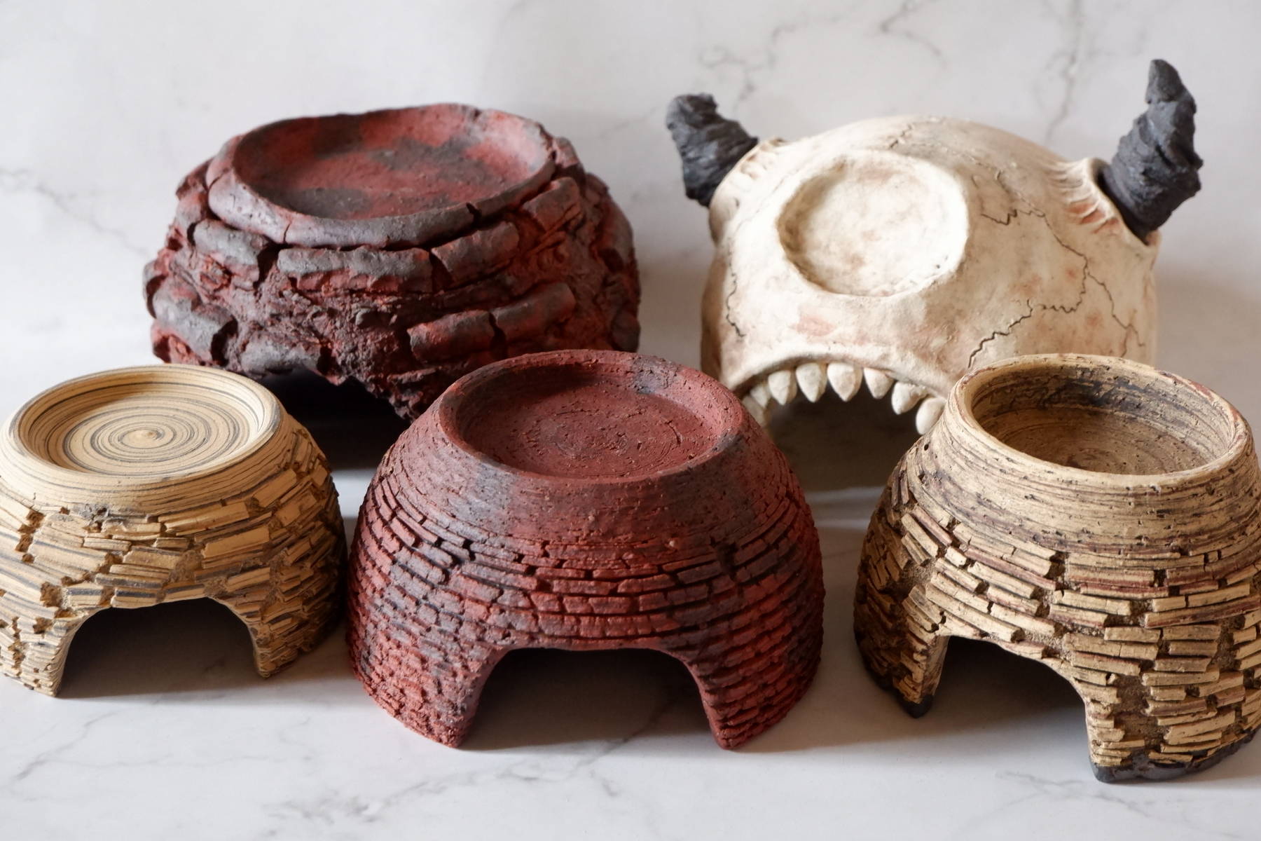 爬虫類シェルター