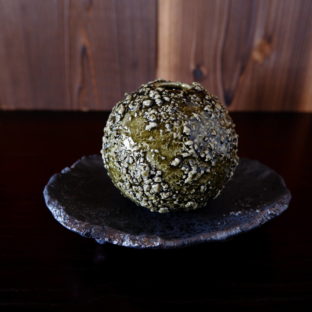 苔玉コケ子