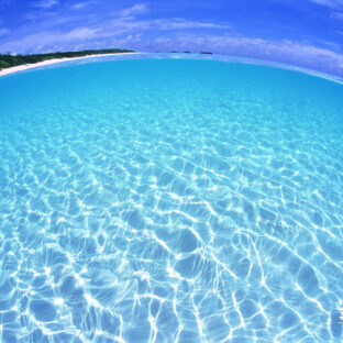 草葉善兵衛商店さん