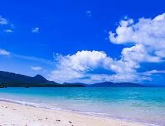 沖縄のイイもの「島んちゅセレクト」