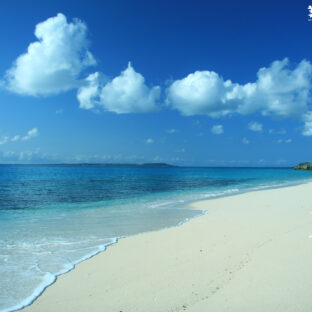 具志川商野球部の強者