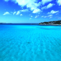 具志川商初勝利