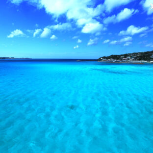 具志川商初勝利