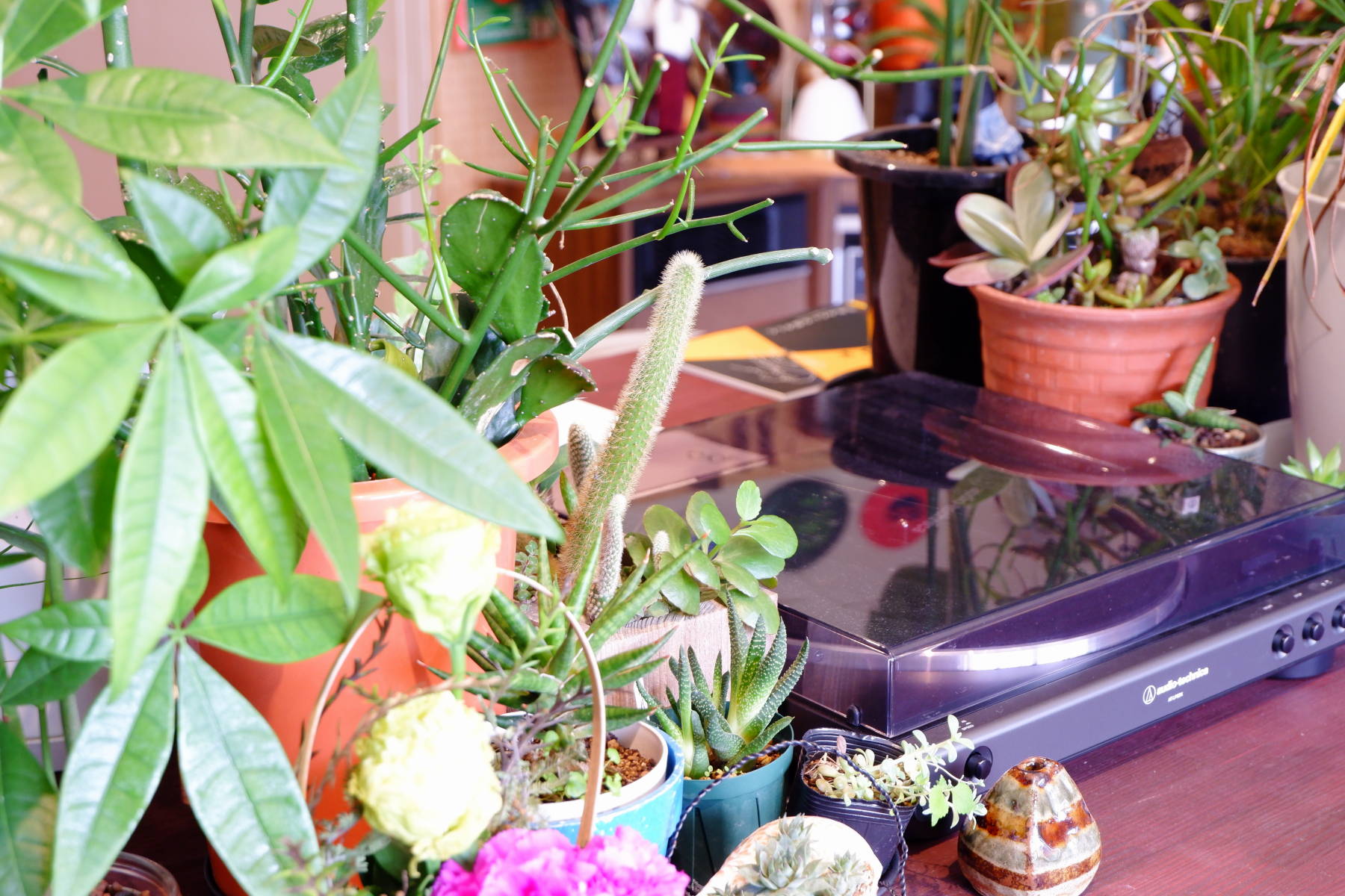 沖縄　宜野湾　コーヒー　喫茶店　REEF KNOT COFFEE　リーフノットコーヒー