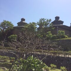 片岡鶴太郎展／顔