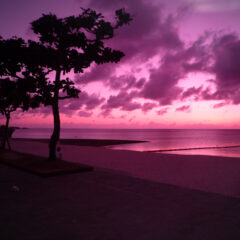 笑えないドッキリは嫌い