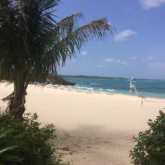 やちむん十窯と石獅子展