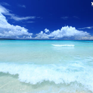 アチコーコーか命どぅ宝か