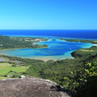 そりゃ、あんまりだわな