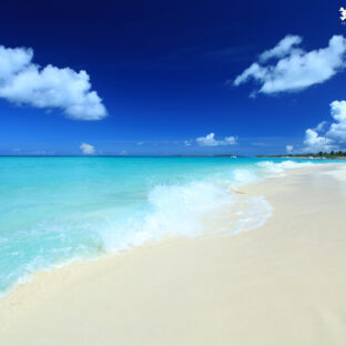 西日本シロアリのCM