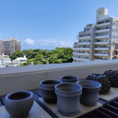 純粋な人に見える光