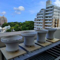 沖縄生活とセットなので