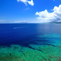 今日のどぅーちゅいむにー
