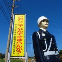 宮古島のパリジェンヌ