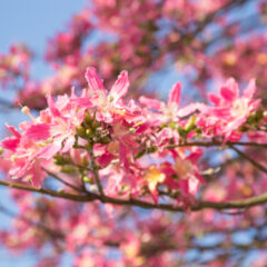 年末年始の発送について