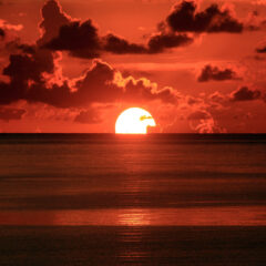 パンツとパンツ