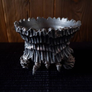 5号エイリアン鉢１　塊根植物　多肉植物　コーデックス　植木鉢　鉢台