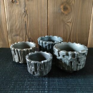 12月の作品ラインアップ①