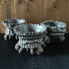 12月の作品ラインアップ②