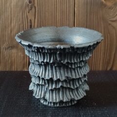 1月の作品ラインアップ②