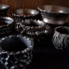 2月の作品ラインアップ①