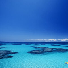 スラムダンクの宮城リョータ