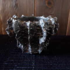 3月の作品ラインアップ①