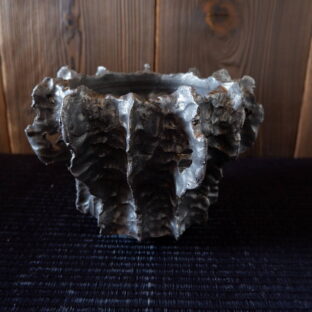 3月の作品ラインアップ①