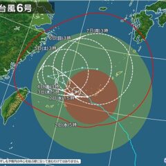 予想外のことばかり