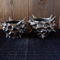 11月の作品ラインアップ第１弾　多肉植物　塊根植物　盆栽　植木鉢　作家鉢　