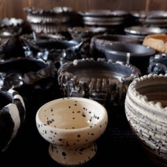 11月の作品ラインアップ第２弾　多肉植物　塊根植物　盆栽　植木鉢　作家鉢　