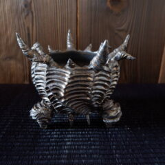 12月の作品ラインアップ第1弾　多肉植物　塊根植物　盆栽　植木鉢　作家鉢　