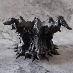 1月の作品ラインアップ第2弾　多肉植物　塊根植物　盆栽　植木鉢　作家鉢　