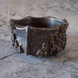 ２月の作品ラインアップ第2弾　多肉植物　塊根植物　盆栽　植木鉢　作家鉢　