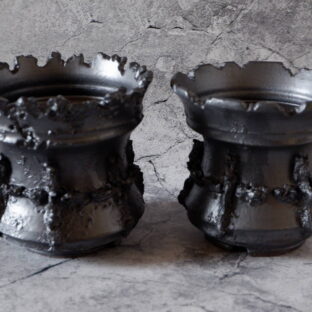 4月の作品ラインアップ第2弾　多肉植物　塊根植物　盆栽　植木鉢　作家鉢　