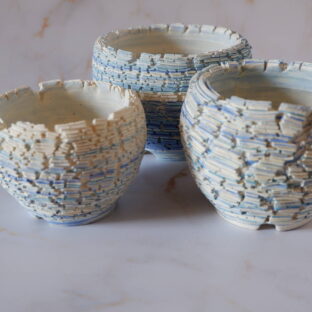 5月の作品ラインアップ第1弾　多肉植物　塊根植物　盆栽　植木鉢　作家鉢　