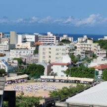 国頭村のアップルバナナ