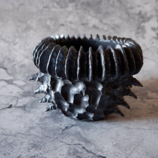 11月窯出し作品第1弾ラインナップ 多肉植物 塊根植物 アガベ グラキリス パキプス 盆栽 植木鉢 作家鉢 鉢皿