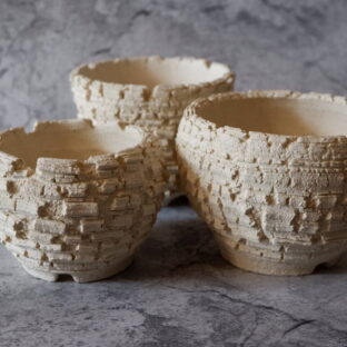 今年最後の窯出しラインナップ 多肉植物 塊根植物 アガベ グラキリス パキプス 盆栽 植木鉢 作家鉢 鉢皿