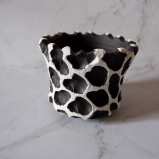 4号貫入白化粧黒鉢815 塊根植物 多肉植物 アガベ グラキリス パキプス 盆栽 植木鉢 作家鉢 鉢皿 沖縄