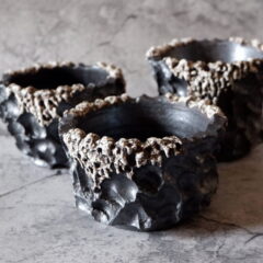 2025年2月窯出し第1弾ラインナップ　　多肉植物　塊根植物　アガベ　グラキリス　パキプス　盆栽　植木鉢　作家鉢　鉢皿