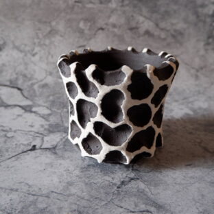 3.5号白化粧黒鉢875 塊根植物 多肉植物 アガベ グラキリス パキプス 盆栽 植木鉢 作家鉢 鉢皿 沖縄