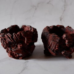 2025年2月窯出し第2弾ラインナップ　　多肉植物　塊根植物　アガベ　グラキリス　パキプス　盆栽　植木鉢　作家鉢　鉢皿