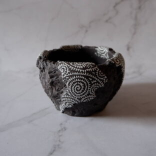 3.5号蛸唐草黒鉢887 塊根植物 多肉植物 アガベ グラキリス パキプス 盆栽 植木鉢 作家鉢 鉢皿 沖縄