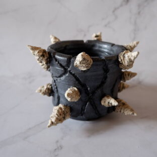 3.5号鉄砂黒棘鉢991　塊根植物　多肉植物　アガベ　グラキリス　パキプス　盆栽　植木鉢　作家鉢　鉢皿　沖縄