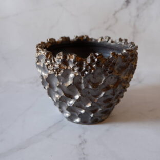 4.5号燻し金彩鉢081 塊根植物 多肉植物 アガベ グラキリス パキプス 万年青 盆栽 植木鉢 作家鉢