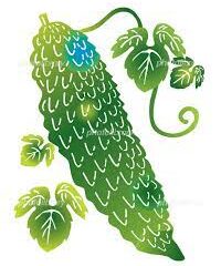 ゴーヤーの受難