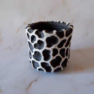 3.5号白化粧黒鉢094　塊根植物　多肉植物　アガベ　万年青　盆栽　植木鉢　作家鉢