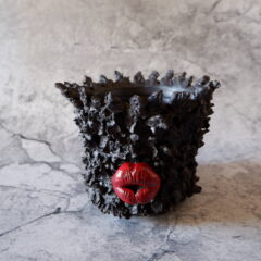 2025年8月窯出し第1弾ラインナップ　　多肉植物　塊根植物　アガベ　盆栽　万年青　植木鉢　作家鉢　鉢皿