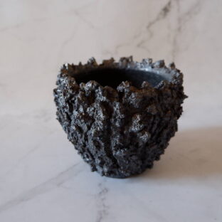 4号黒金彩裂紋鬼鉢244 塊根植物 多肉植物 アガベ 盆栽 植木鉢 作家鉢